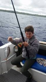 Cuvu Report Photo 1
