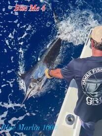 Blue Marlin 100#