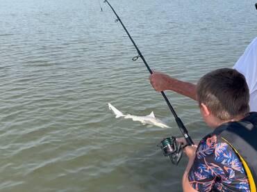 Dogfish charters sneaking out