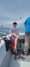 Ashtabula Report Photo 1