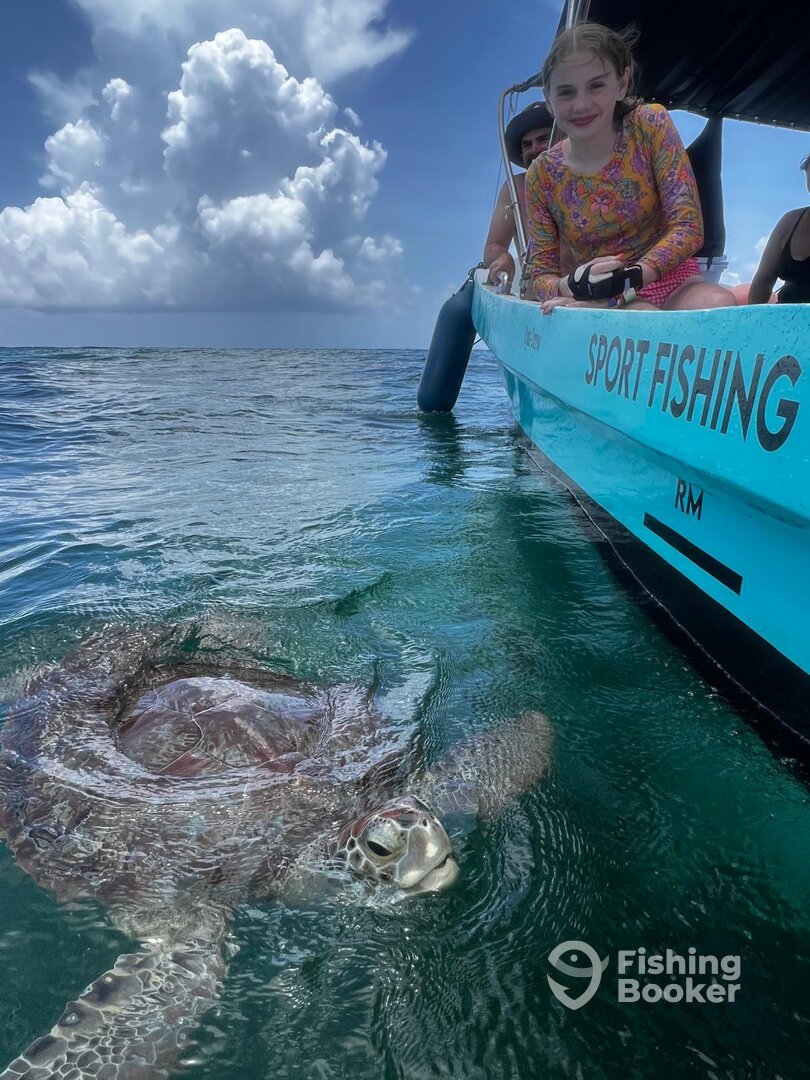 Playa Del Carmen Report Photo 0