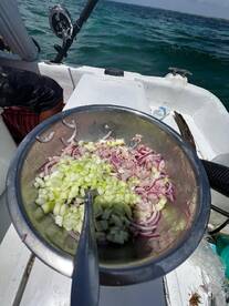 Playa Del Carmen Report Photo 2