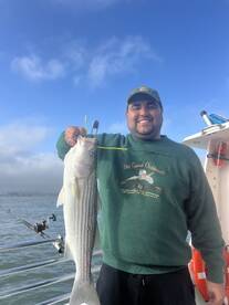 San Francisco Report Photo 2