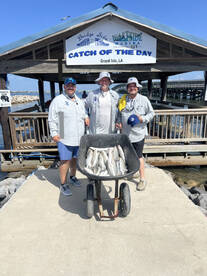 Bayou Lafourche Report Photo 2