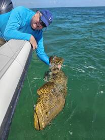 100lb Goliath grouper 