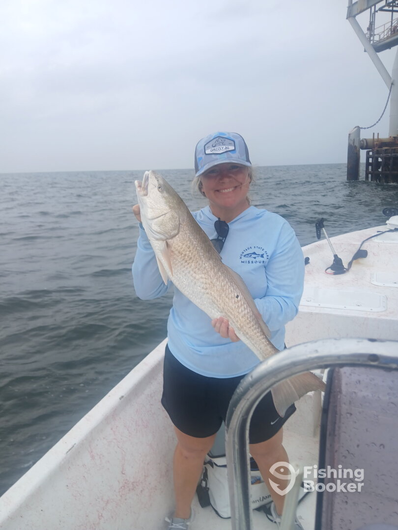 Mobile Bay Report Photo 0