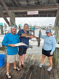Gulf Shores Report Photo 1