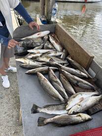 Lake Pontchartrain Report Photo 2