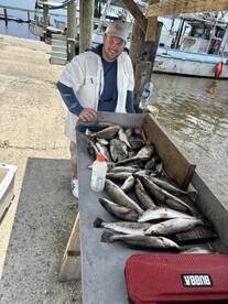 New Orleans Report Photo 2