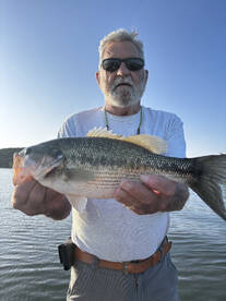 Branson Report Photo 2