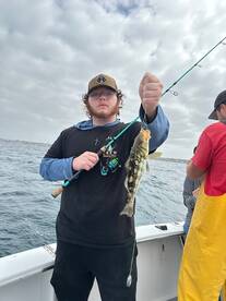 Oceanside Report Photo 2