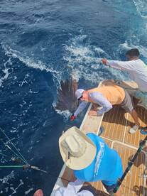 Oh yeah! Chino Salsa strikes again!