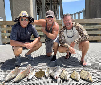 D'Iberville Report Photo 1