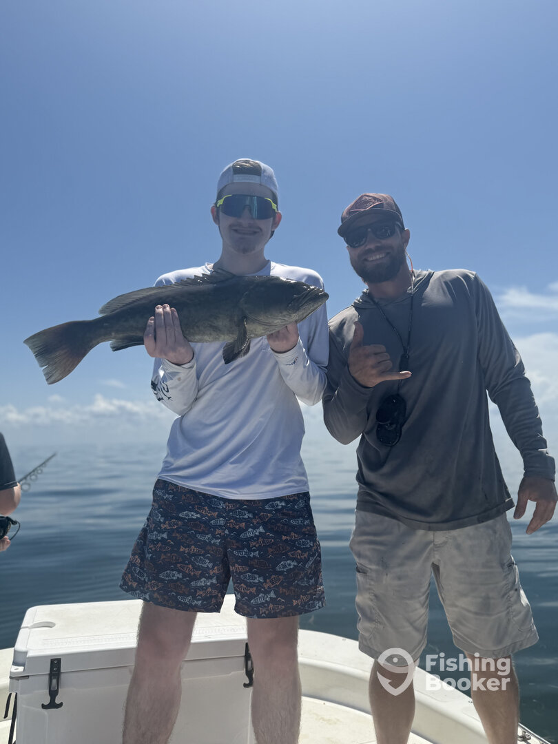 Crystal River Report Photo 0