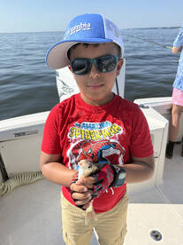 Annapolis Report Photo 1