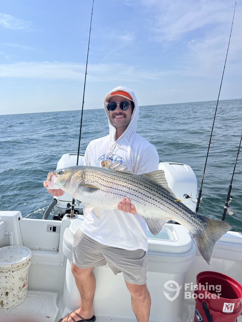 South Kingstown Report Photo 0