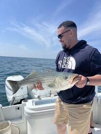 South Kingstown Report Photo 1