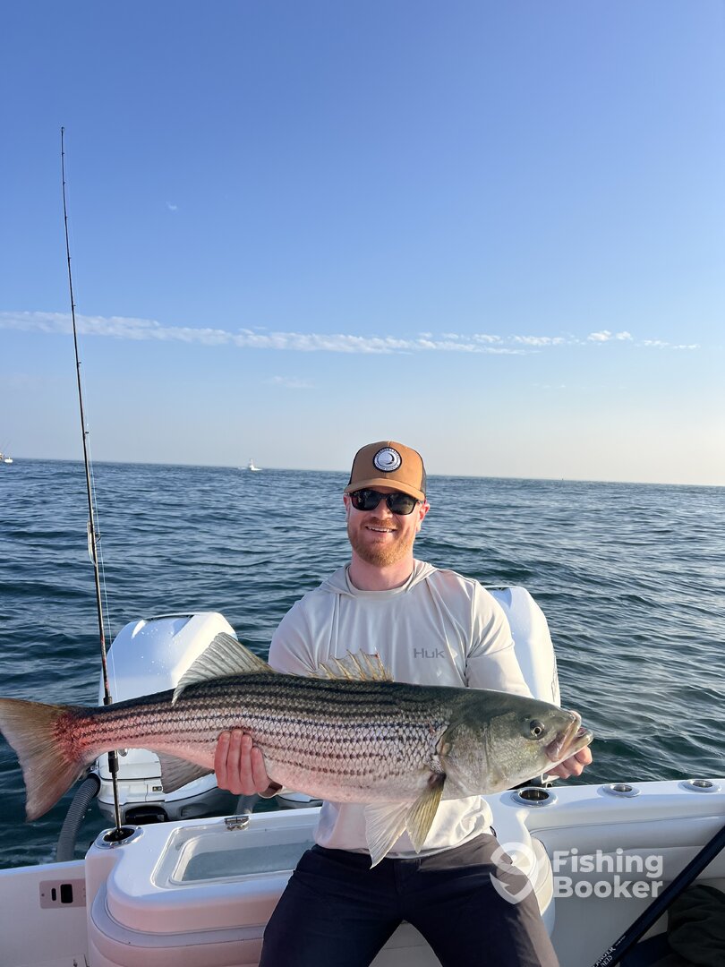 South Kingstown Report Photo 0