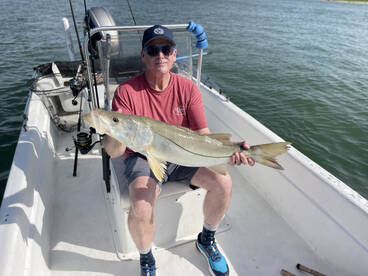 Nice snook and a bonus shovelhead shark 