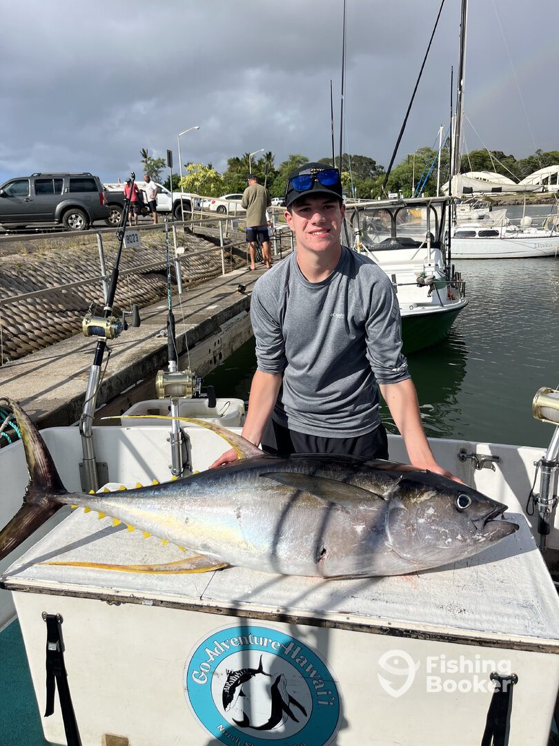 Haleiwa Report Photo 0