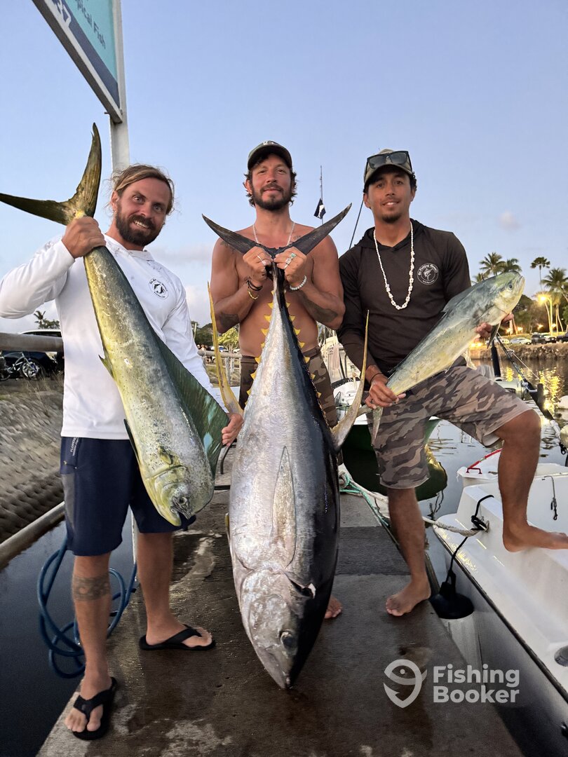 Haleiwa Report Photo 0