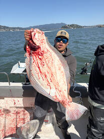 Berkeley Report Photo 2