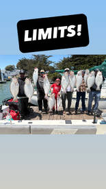 Berkeley Report Photo 1