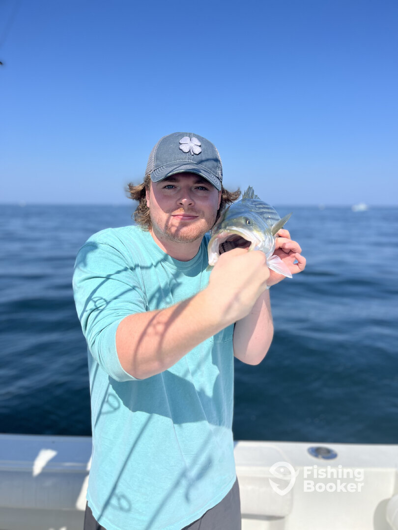 Dennis Report Photo 0