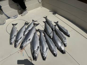 Algoma Report Photo 2