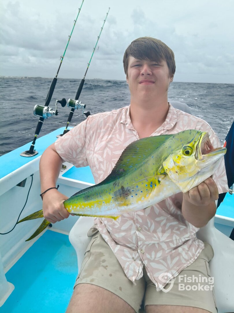Playa Del Carmen Report Photo 0