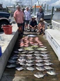 Summer Bottom Fishing
