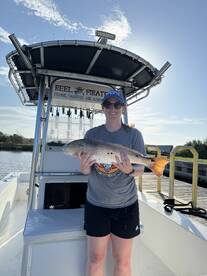Emerald Isle Report Photo 2