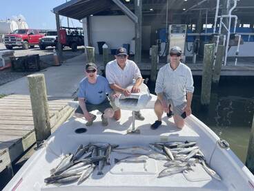 Grand Isle Report Photo 1