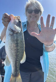 Branson Report Photo 2