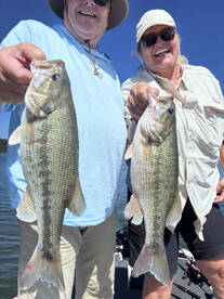 Branson Report Photo 1