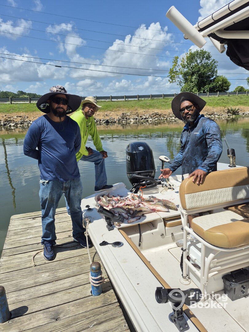 Willis Report Photo 0