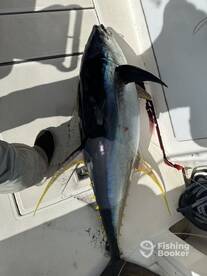 Maunalua Bay Report Photo 4