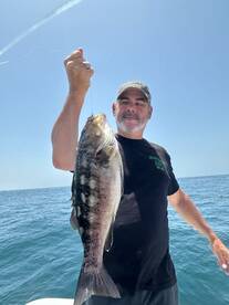 Really Big Calico Bass