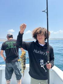 Nice Calico Bass