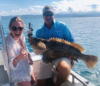 Gold Spot Cod on the coastal reefs