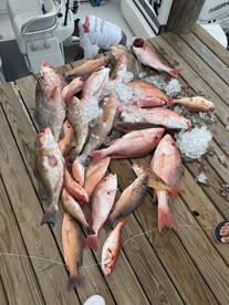 Englewood Report Photo 2