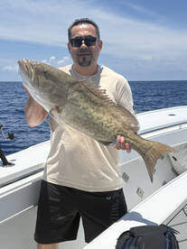 Snapper, Grouper….