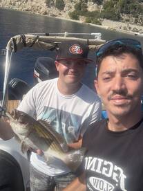 Golden grouper 