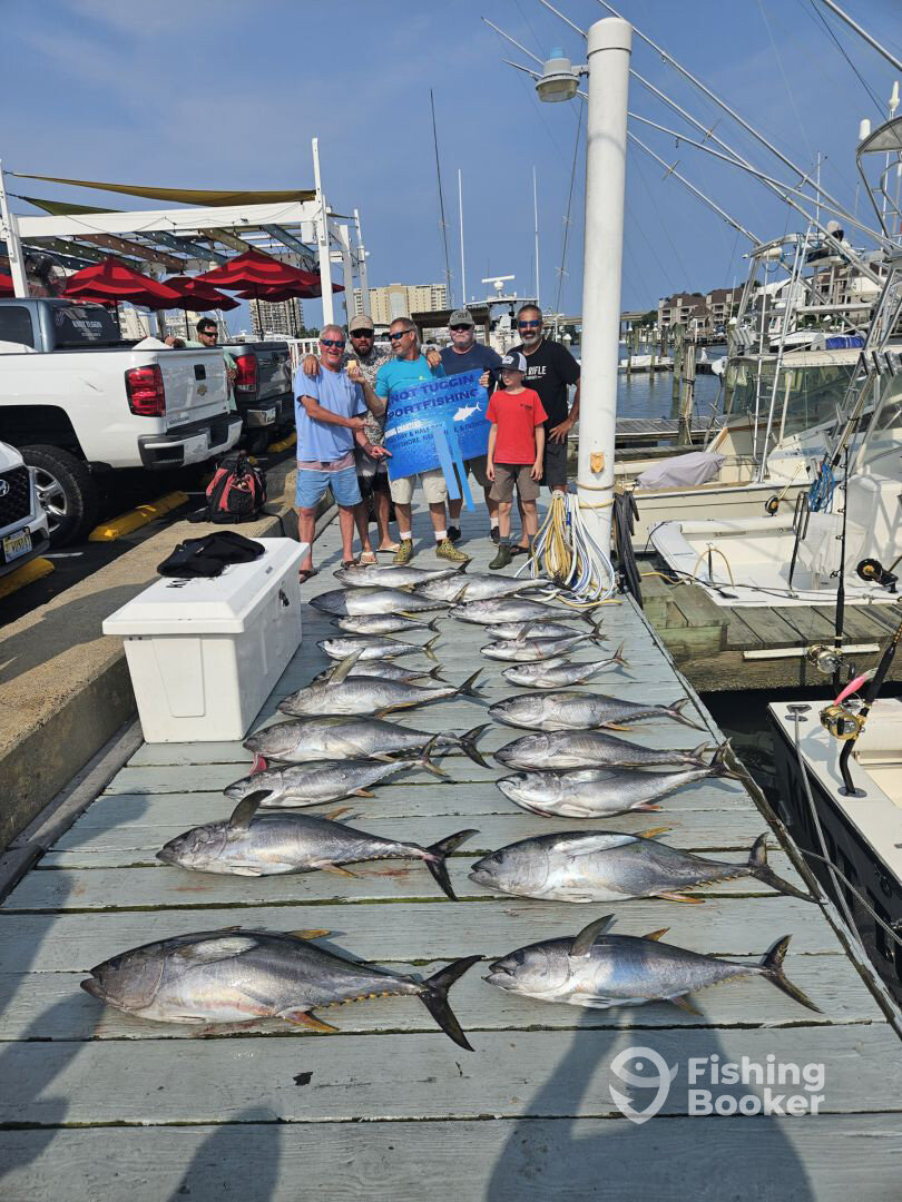 Virginia Beach Report Photo 0