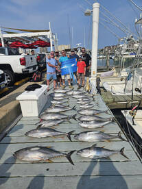 Limits of yellowfin tuna!