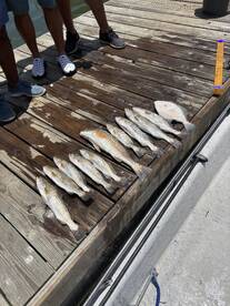Aransas Pass Report Photo 1
