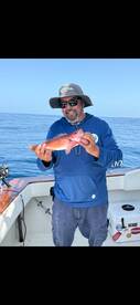 Dana Point Report Photo 2