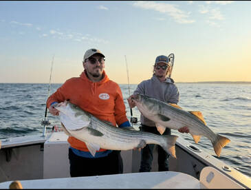 Narragansett Report Photo 1