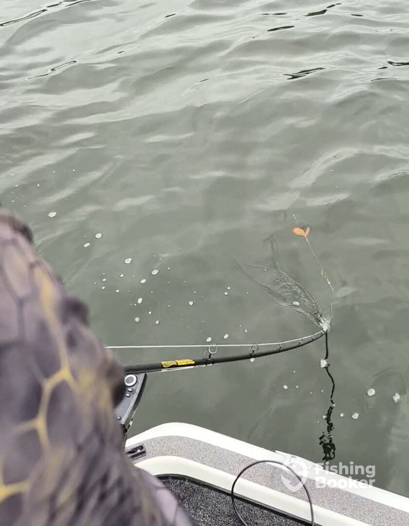 musky lures