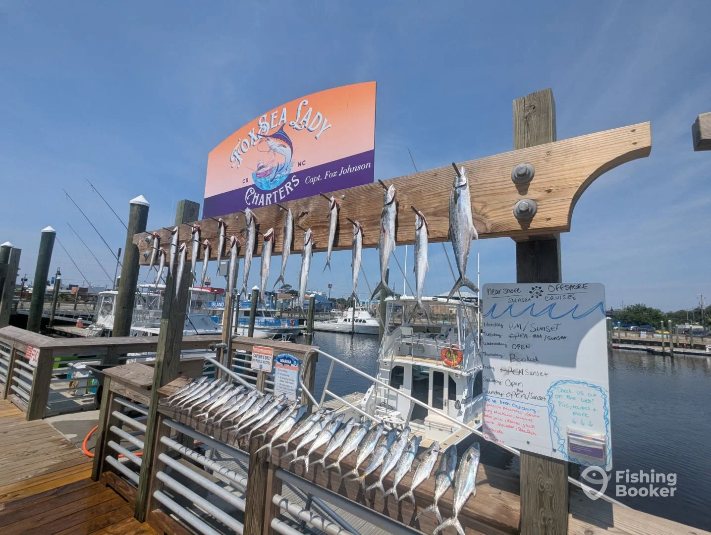 Carolina Beach Report Photo 0